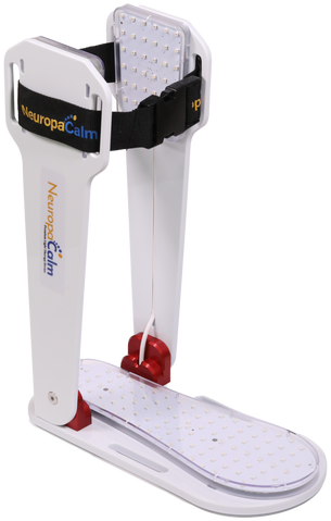 a foot - mounted foot braces with a foot rest