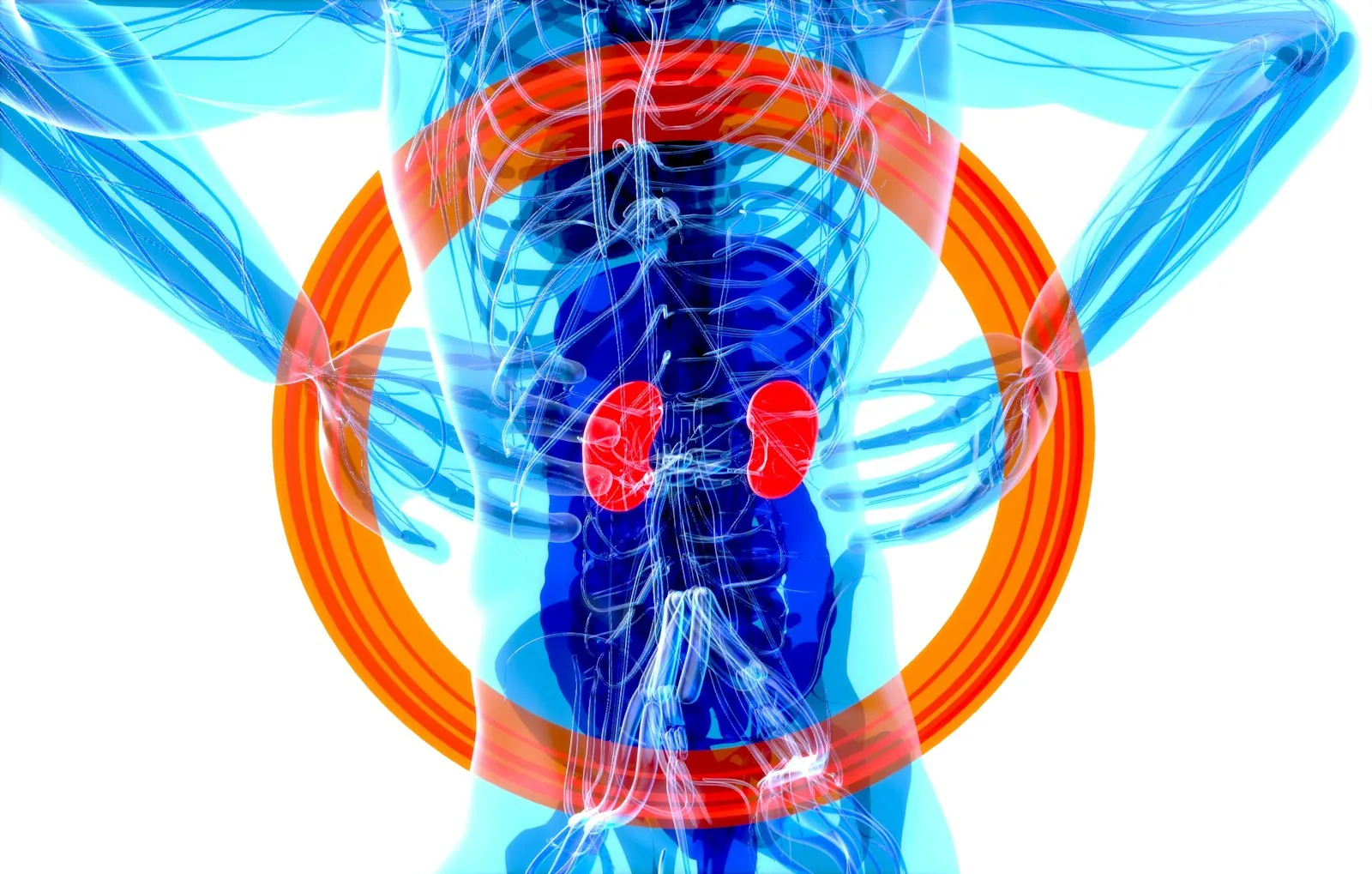 Circulation and nerve health at BioWave Regeneration Houston TX