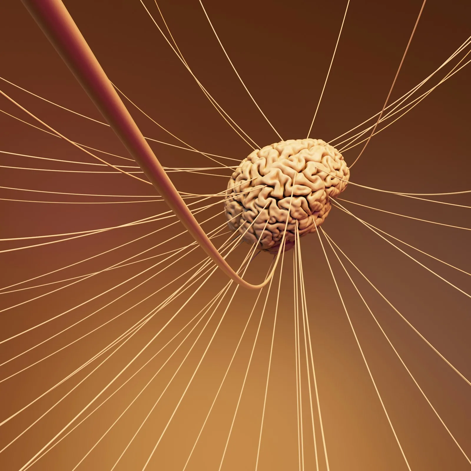 nerve health diagram showing brain and nerve connections for neuropathy supplement support